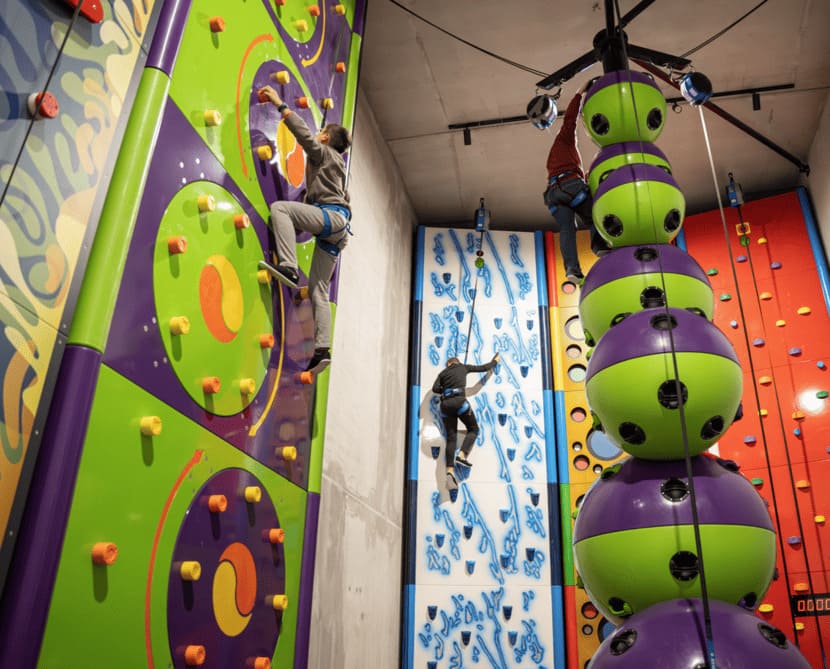 ESCALADE : MUR & SALLE DE BLOC & CLIP'N CLIMB